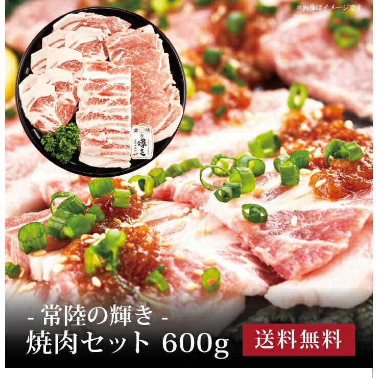 お取り寄せ 送料無料 内祝い 10％OFFクーポンあり 常陸の輝き 焼肉セット600g 出産内祝い 新築内祝い 快気祝い 肉