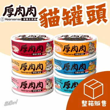 （箱購🔥宅配免運）厚肉肉 貓罐頭 貓主食罐 貓罐 Hoorooroo貓罐 貓咪罐頭 罐罐 低磷罐 貓食品 高雄最便宜
