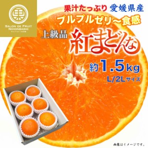 [予約 12月31日必着] 紅まどんな 約1.5kg L 2L 愛媛県 化粧箱 冬ギフト お歳暮 御歳暮 大晦日必着