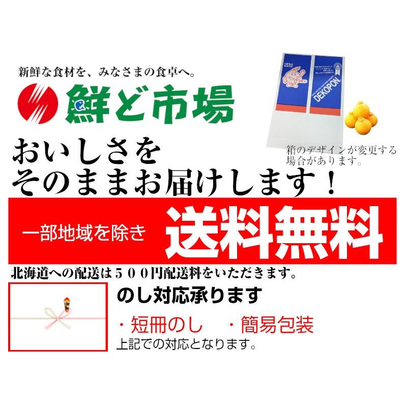 熊本産　デコポン5kg 送料無料 果物ギフト ギフト・ご贈答用