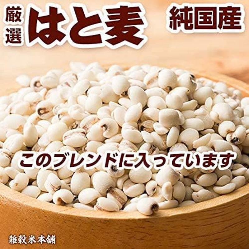 雑穀 麦 国産 麦5種ブレンド(丸麦 押麦 はだか麦 もち麦 はと麦) 1kg(500g×2袋) 一部地域を除く 雑穀米本舗