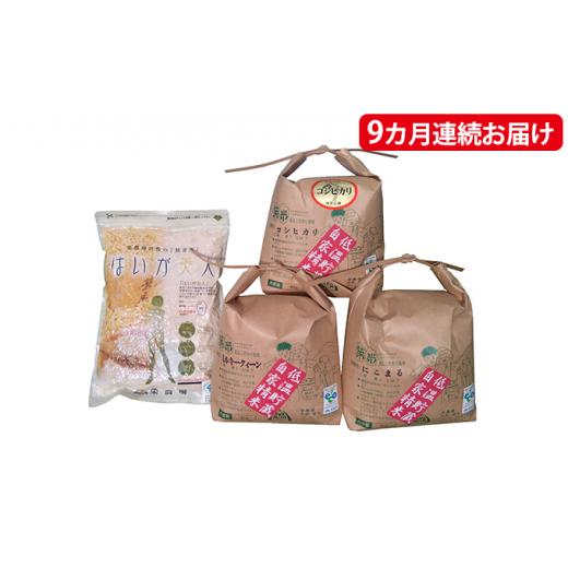 ふるさと納税 滋賀県 栗東市 9ヵ月連続お届け　特別栽培米『榮米』ギフトセット『鳥』