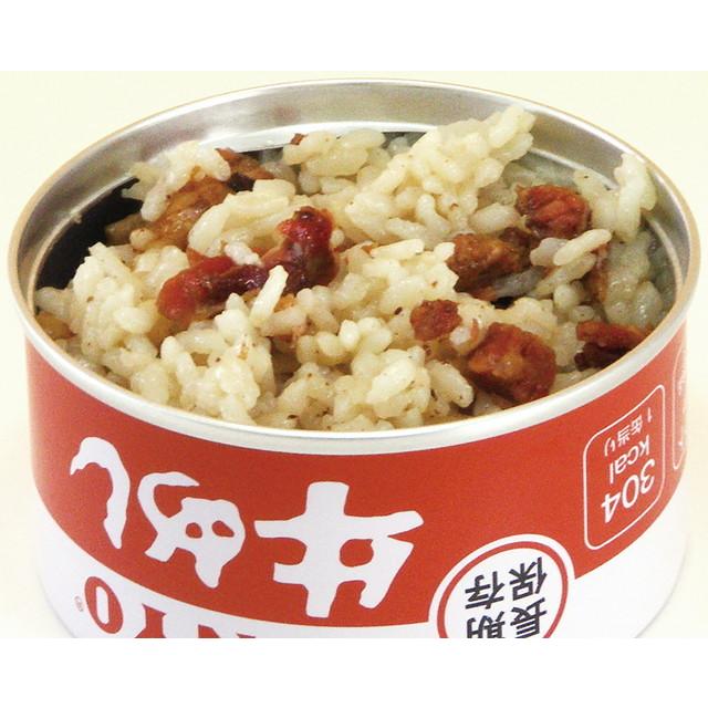 サンヨー ごはん缶詰5種セット 10缶 五目めし とりめし 赤飯 牛めし チキンドライカレー 1缶185g 賞味期限5年 防災 災害対策 備蓄 非常食 SUNYO 代引不可