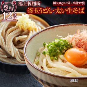 池上製麺所釜玉生うどん蕎麦各6食セット 讃岐香川 ダシ醤油 直送ご当地食品グルメ セール 送料無料 お取寄せ ポイント消化 お試し