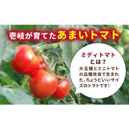 ふるさと納税 あま壱岐 ミディトマト 約48粒 《壱岐市》 トマト 野菜 [JAE009] 10000 10000円 1万円 長崎県壱岐市