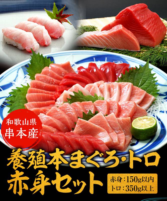 串本産 養殖 本まぐろ トロ、赤身セット （赤身150g以内、トロ350g以上） サクの状態で3～4袋でお届け（真空包装）送料無料※北海道、沖縄除く