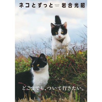 新品本/WE LOVEボブ! 映画『ボブという名の猫』公式フォトブック コム