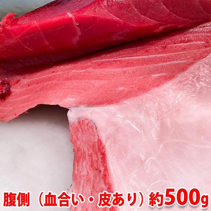 生・本マグロ　大トロ・中トロ・赤身ブロック　約500g　国産・養殖 （血合い・皮あり） 腹側