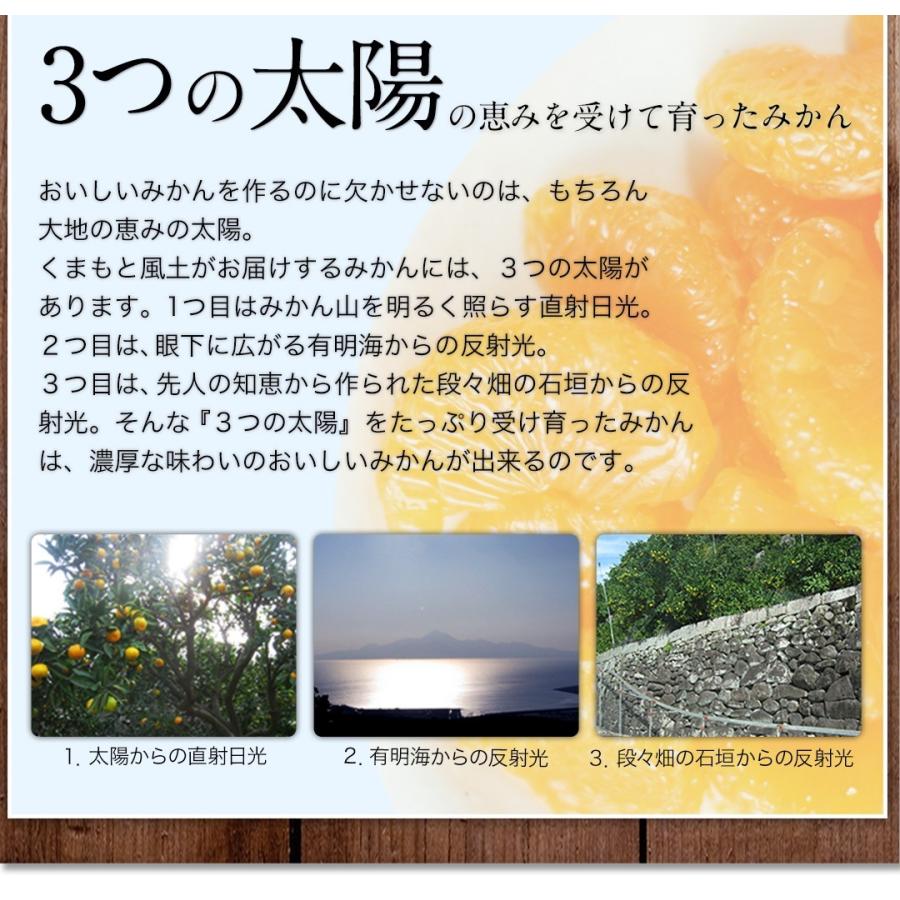 セット購入でおまけ付き 冷凍 小玉 みかん 皮付き 熊本県産 1.5kg 500g×3袋 送料無料 フルーツ シャーベット アイス 7-14営業以内発送予定(土日祝除く)