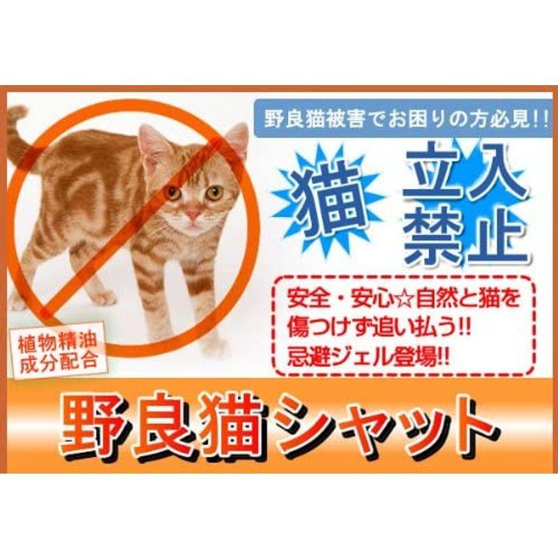 野良猫シャット