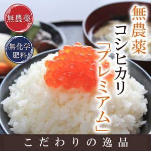 無農薬 玄米 米 2kg 無農薬コシヒカリ「プレミアム」 令和5年福井県産 新米入荷 限定米 送料無料 無農薬・無化学肥料栽培 米・食味鑑定士