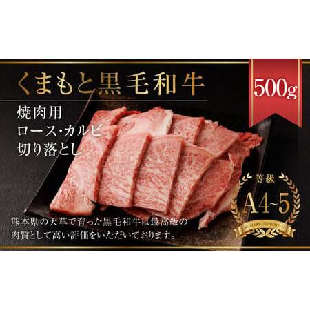 ふるさと納税 天草 黒毛和牛 焼肉用 ロース・カルビ 切り落とし 500g A4~A5クラス 牛肉 熊本県熊本市