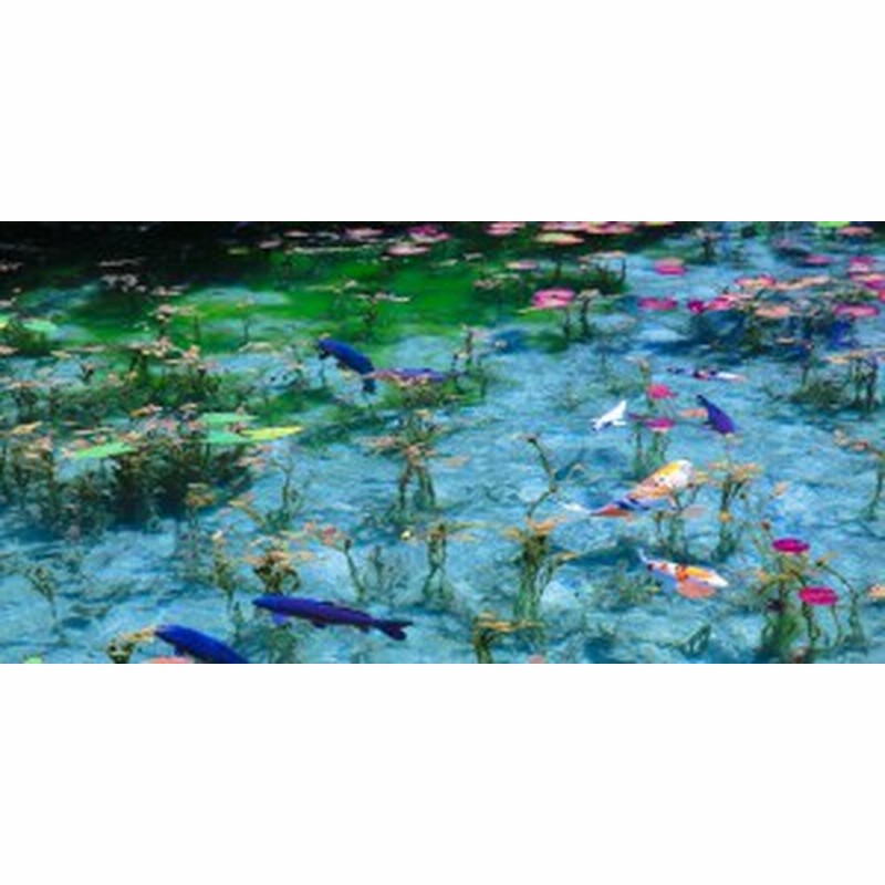 絵画風 壁紙ポスター 地球の撮り方 まるで絵画 岐阜県関市の モネの池 名前のない池 パノラマ C Zjp 002s1 1152mm 576mm 通販 Lineポイント最大1 0 Get Lineショッピング