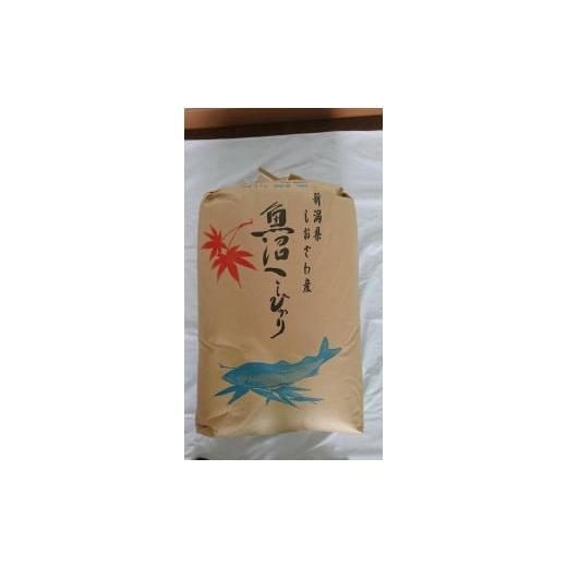 ふるさと納税 新潟県 南魚沼市 魚沼産しおざわコシヒカリ玄米2０kg