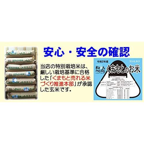 新米 令和5年産 熊本 阿蘇 コシヒカリ 特別栽培 5kg 出荷日精米 (５分づき（精米後約4.75kg）)