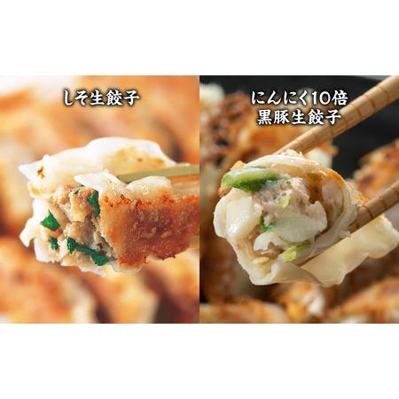 ふるさと納税  八代市東陽町の生姜を使った 餃子の王国 餃子 8種詰合せ 生餃子 熊本県八代市