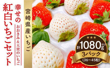 宮崎県産イチゴ「幸せの紅白いちごセット」3パック（1080g以上：36粒～45粒） いちご 苺