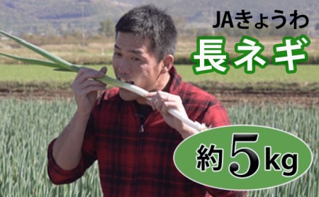 JAきょうわ らいでん長ねぎ 約5kg