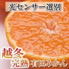 ＜先行受付＞家庭用　越冬完熟みかん2kg 60g(傷み補償分)