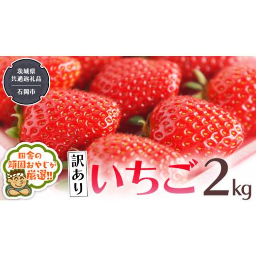 ふるさと納税 茨城県 つくばみらい市 いちご 2kg （県内共通返礼品：石岡市産） いちご 苺 イチゴ 訳あり