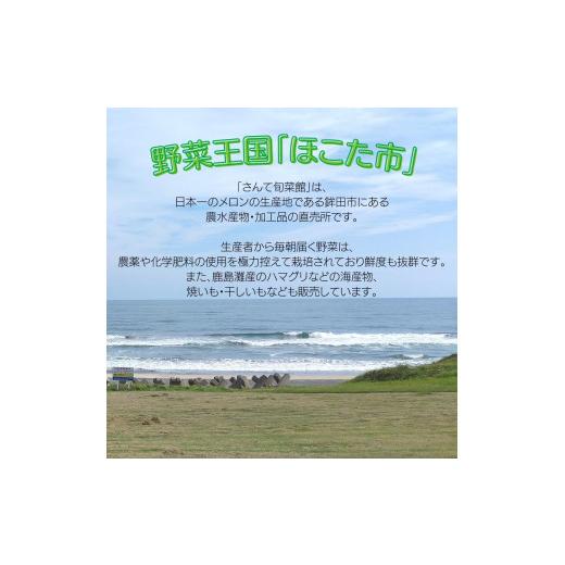 ふるさと納税 茨城県 鉾田市 旬菜館オリジナル＼野菜と加工品／セット