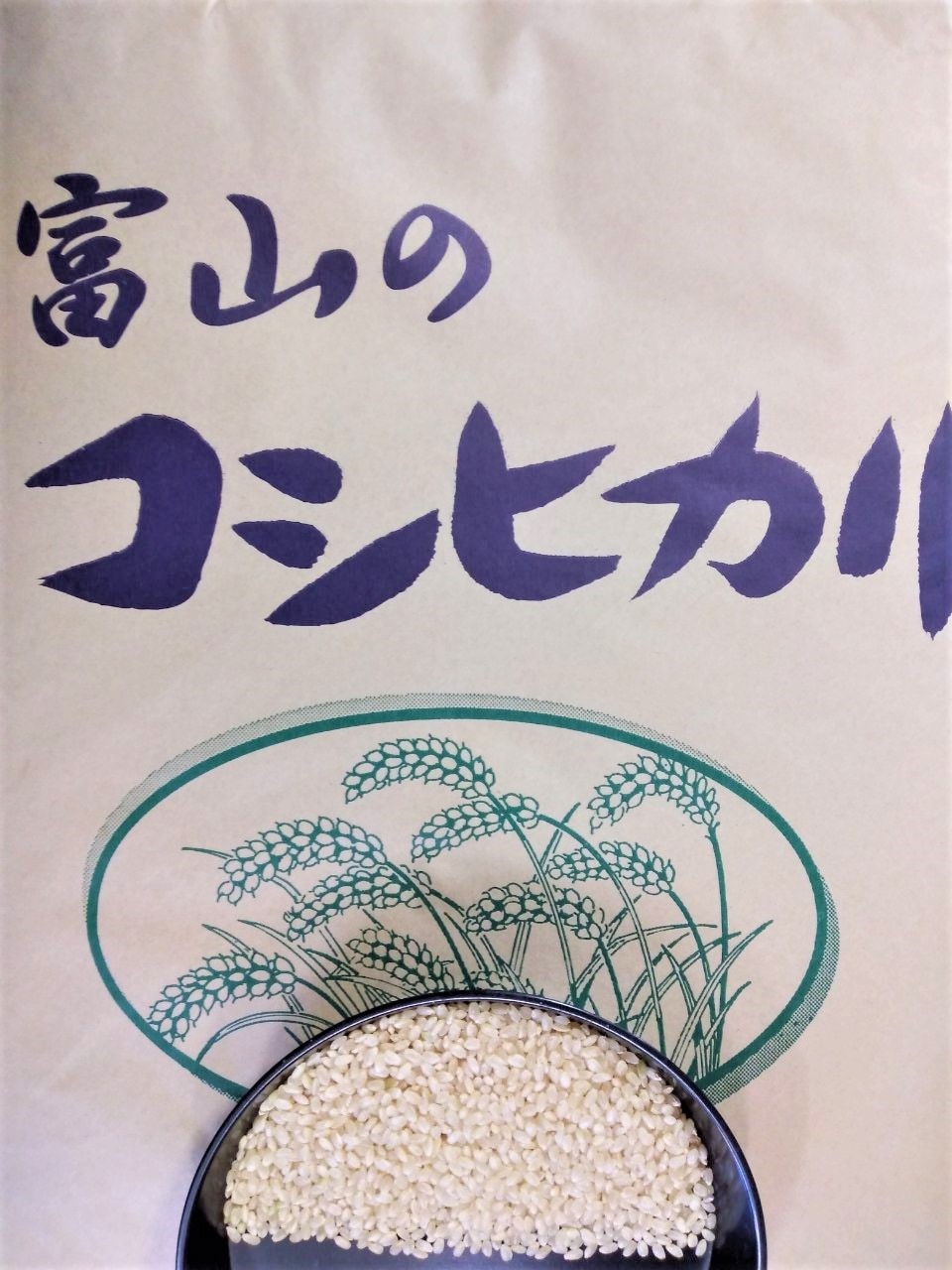 富山県産　コシヒカリ　玄米３０　優良生産地