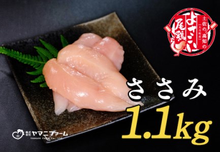 よさこい尾鶏 ささみ(220g)×5パック