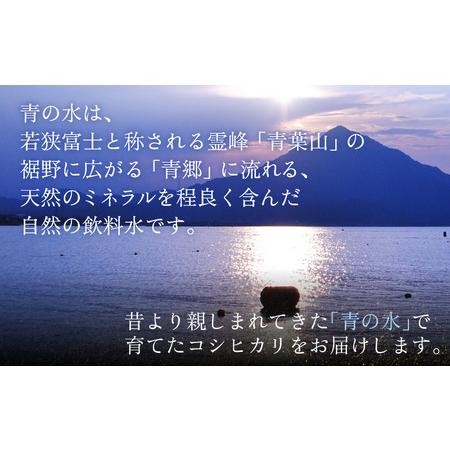 ふるさと納税 一等米コシヒカリ 若狭富士の米 20kg（10kg×2袋） 福井県高浜町