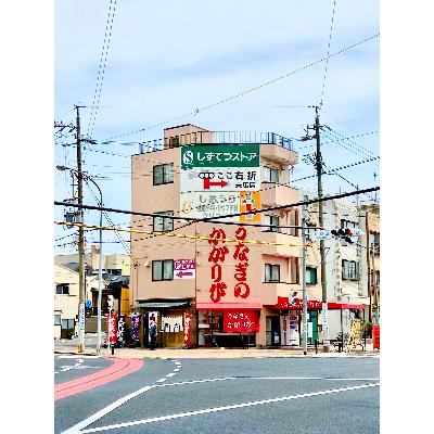 ふるさと納税 静岡市 〈うなぎの篝火〉国産うなぎ真空パック蒲焼き5食セット