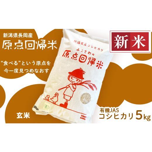 ふるさと納税 新潟県 長岡市 J3-04新潟県長岡産有機JASコシヒカリ5kg 原点回帰米