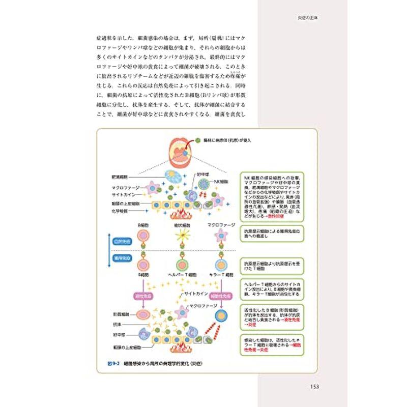 なるほどなっとく病理学 plus: 病態形成の機序と各器官の疾病の特徴