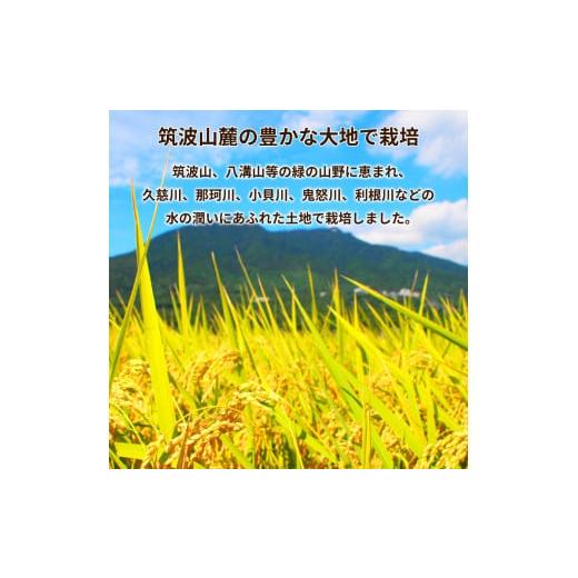 ふるさと納税 茨城県 土浦市 令和5年産 新米 茨城県産 ミルキークイーン 精米・5kg（5kg×1袋）茨城県産のお米ミルキークイーンは、モチモチした食感が特徴の…