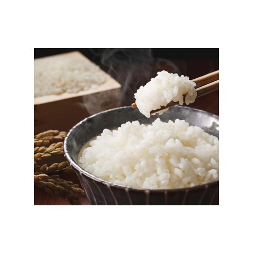 ふるさと納税 鳥取県 江府町 令和5年産新米《玄米》星取県から生まれた米の新品種「星空舞」 5kg ほしぞらまい こめ R5 コメ JAアスパル 0622