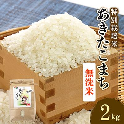 ふるさと納税 大潟村 令和5年度産新米　特別栽培米あきたこまち　無洗米2kg