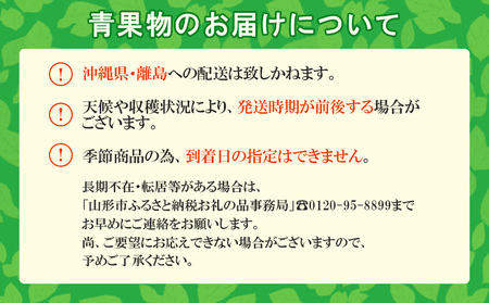 やまがた フルーツ定期便 ”蔵王” 山形名物フルーツ [佐藤錦・シャインマスカット・ラ・フランス] FS23-738