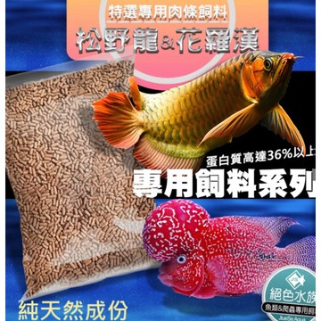 F日本龍魚飼料 龍魚飼料 魚飼料 花羅漢飼料 台灣製造 大型魚肉條 (嗜口性超佳) 台灣高夠力