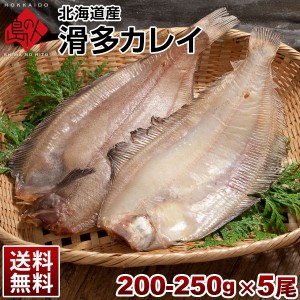 カレイ 北海道産 滑多鰈(なめたかれい)200-250g 5尾セット 旨さの秘密は自慢の昆布干物 北海道 お土産 お取り寄せ 食品 食べ