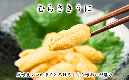 利尻島産 塩水 生うに むらさきうに100g×2■2024年6月より順次出荷■ 先行受付 ウニ 利尻