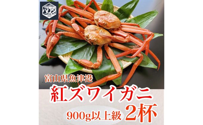 魚卸問屋のベニズワイガニ 900g級以上×2杯 はりたや