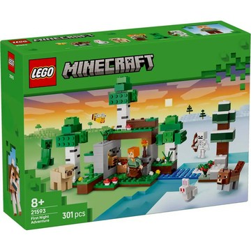 ||高雄 宅媽|樂高 積木|| LEGO “21593 第一夜冒險“