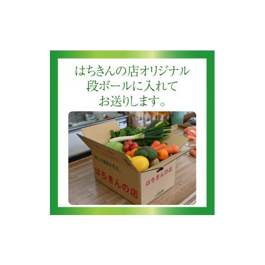 ふるさと納税 高知県 佐川町 はちきんの店 野菜 セット 7~10品 野菜詰め合わせ 詰合せ 高知の野菜 旬の野菜