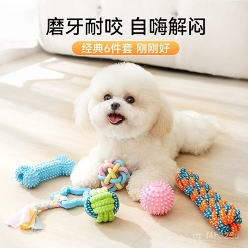 [24時熱賣]寵物玩具 自嗨解悶玩具 逗貓棒狗狗玩具耐咬磨牙棒骨解悶幼小型犬泰迪比熊逗狗寵物咬膠用品 Q1SP