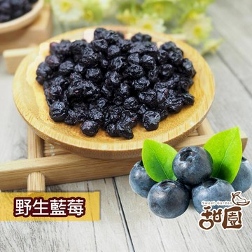 果乾｜蜜餞｜堅果 【甜園】野生藍莓粒 隨身包 藍莓果乾 藍莓 無糖果乾 無添加果乾 無加糖果乾 純素