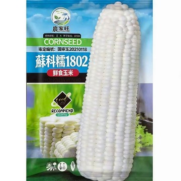 【權威國審品種】白玉米種子｜純白Q糯 產量穩定｜台灣氣候適應性強｜原廠包裝 品質保證｜自種鮮採 煮烤兩相宜｜附簡易栽培法