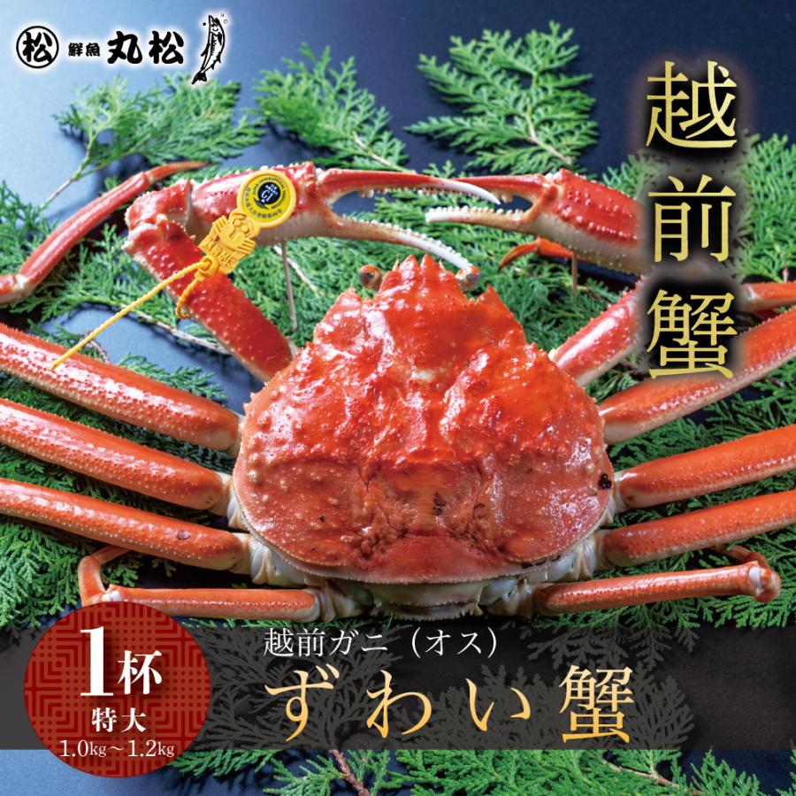 かに カニ 蟹 越前がに 越前蟹 ずわい蟹 ズワイガニ ずわいがに 姿 送料無料 取り寄せ お歳暮 ギフト プレゼント お祝い 特大サイズ 1.0kg〜1.2kg 1杯