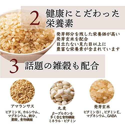 雑穀米本舗 ヘルシーブレンド 9kg(450g×20袋)