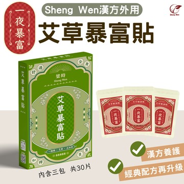 【Sheng Wen梁時】艾草暴富貼3入盒裝(一夜暴富) | 一條根精油貼布 貼布 精油貼