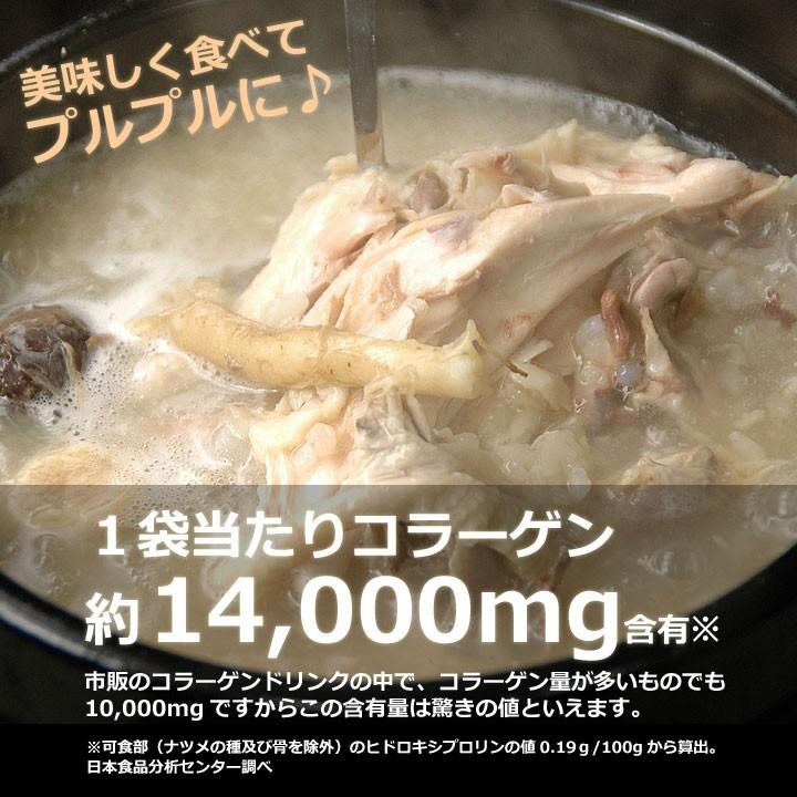 参鶏湯 サムゲタン 1kg×15袋 韓国直輸入！ プロが選んだレトルト 参鶏湯 サムゲタン 常温・クール冷蔵便可 送料無料 賞味期限2024年2月1日　※冷凍商品同梱不可