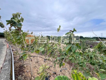 芬園139線旁大塊美田｜彰化縣芬園鄉中崙段