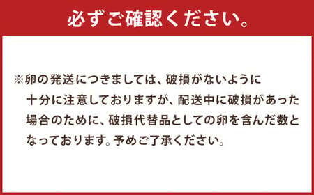 にんにくたまご 60個 卵 にんにく卵 鶏卵 熊本県産 九州産 冷蔵 送料無料